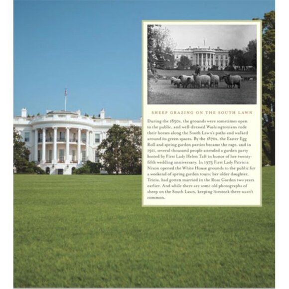 2 Michelle Obama Books 1st Ed Becoming American Grown Kitchen Grown First Lady - Picture 15 of 15